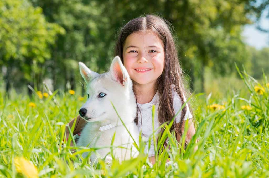Nuevo test genético para prevenir enfermedades en perros