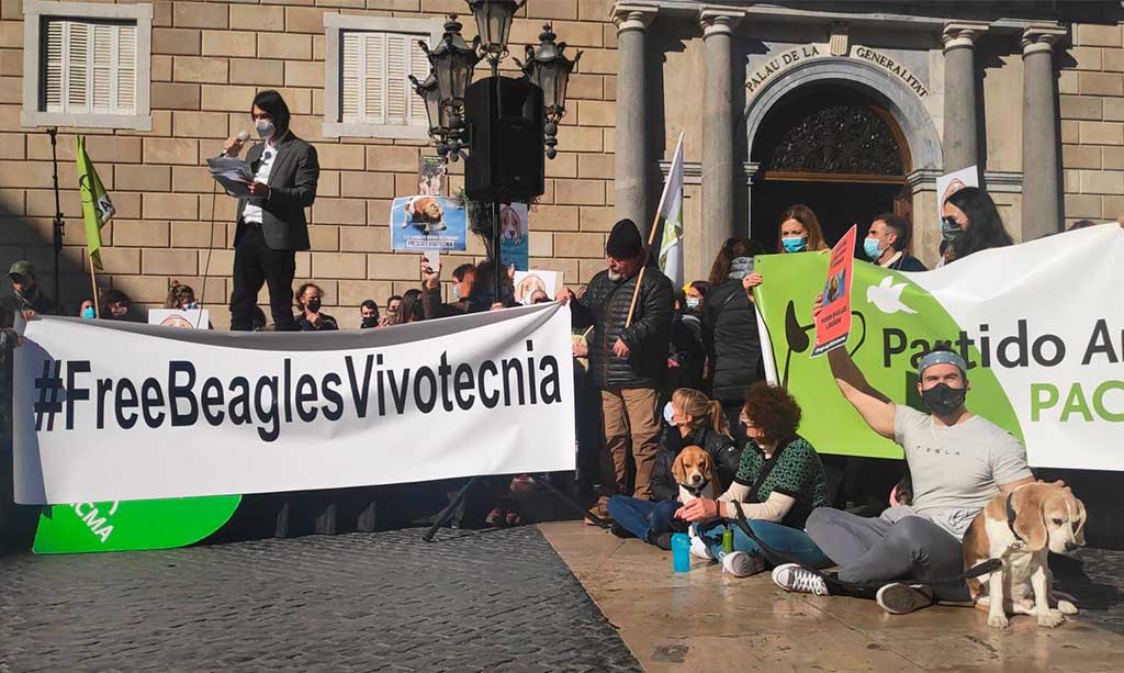 #FreeBeaglesVivotecnia PACMA congrega a un millar de personas en Barcelona.