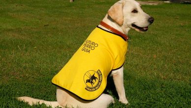 Royal Canin y la Fundación ONCE del Perro Guía continuarán colaborando durante 2022.