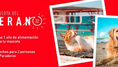 #MascotaDelVerano22 , una iniciativa que busca la mejor foto de gato y perro.