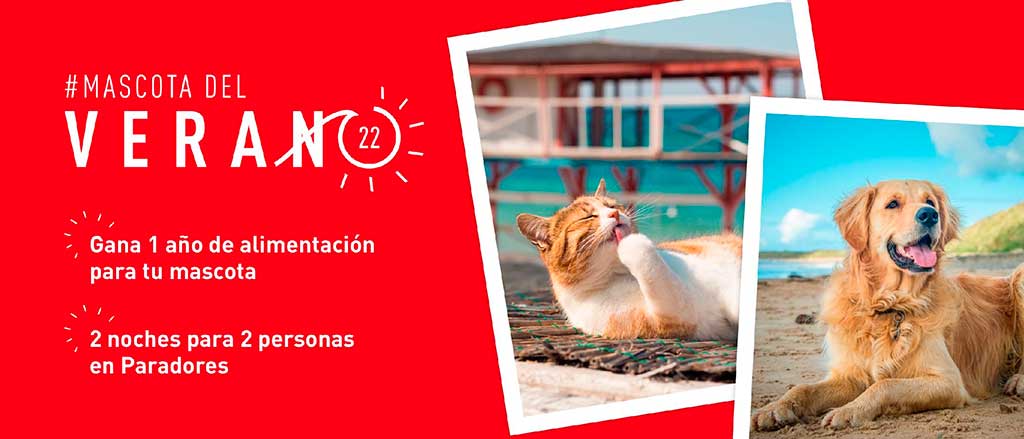 #MascotaDelVerano22 , una iniciativa que  busca la mejor foto de gato y perro