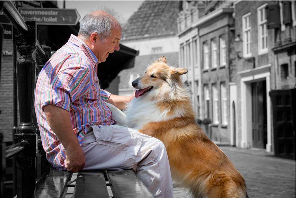 El vínculo humano-animal, beneficioso para los pacientes con Alzheimer y demencia