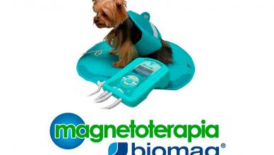 Magnetoterapia Biomag explica qué es y cómo funciona la magnetoterapia veterinaria.