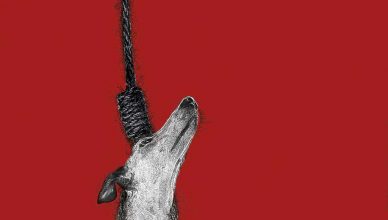 Exigen al PSOE la retirada de la enmienda que excluye a los perros de caza de la Ley de Protección Animal