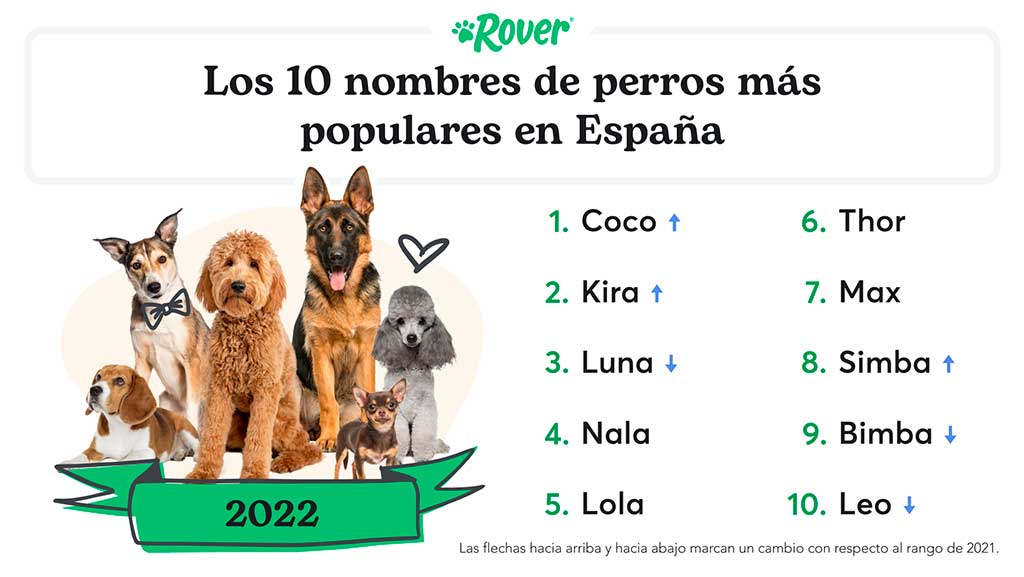 Los nombres más populares de perro en 2022...