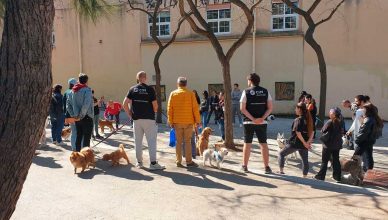 Éxito de los talleres gratuitos de educación canina del ayuntamiento de Barcelona.