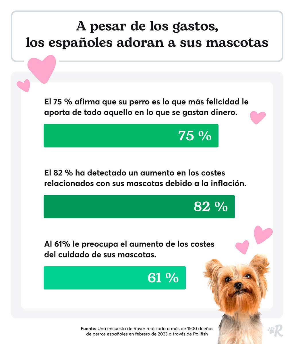 El coste de tener mascotas: El 82% de los españoles ha experimentado un aumento del gasto en sus mascotas debido a la inflación.