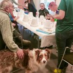 Echando una Pata para ConcienciARTE, nuevo proyecto de La Cátedra Animales y Sociedad y el Ayuntamiento de Parla de intervención social asistida con perros.