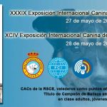 Madrid será de nuevo capital mundial del perro con la Mad Dog Show, que reunirá a 3.000 ejemplares de 200 razas.