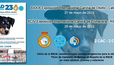 Madrid será de nuevo capital mundial del perro con la Mad Dog Show, que reunirá a 3.000 ejemplares de 200 razas.