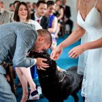 ¿Te gustaría que tu perro asistiera a tu boda?