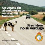 La Real Sociedad Canina de España lanza la campaña “Un verano más humano es un verano sin abandonos: Sé su héroe, no su verdugo”.