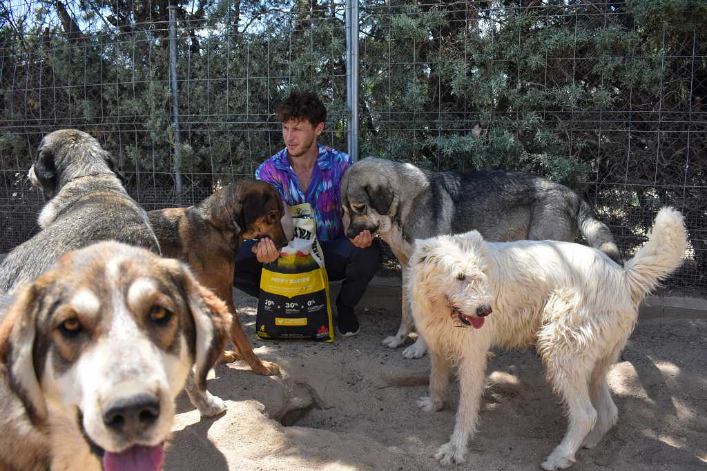 El actor Nicolás Coronado participa en una donación de 2 toneladas de pienso a la protectora y santuario de animales El Campito-Salvando Peludos.