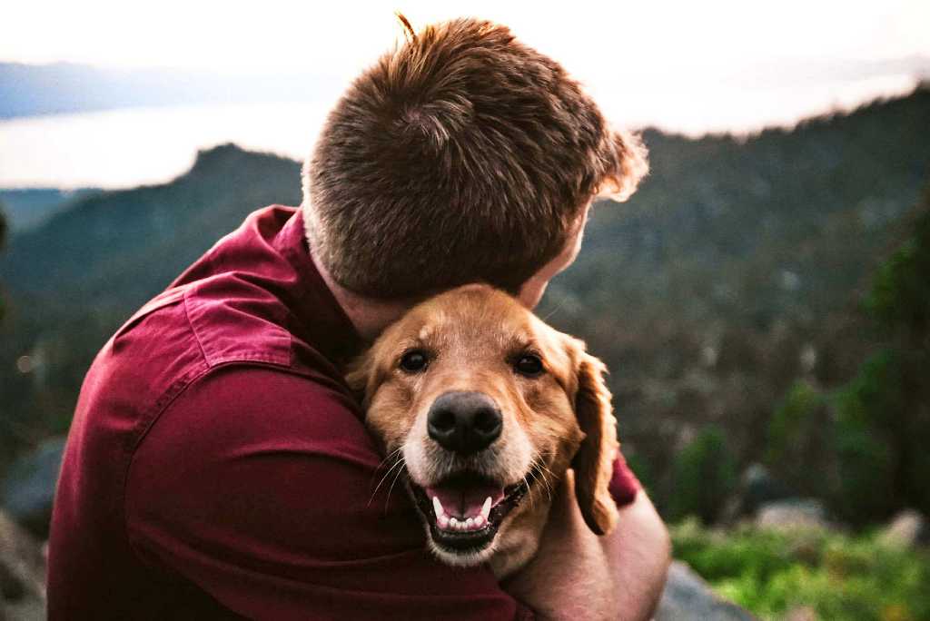 4 beneficios que no sabías de tener una mascota para la salud mental.