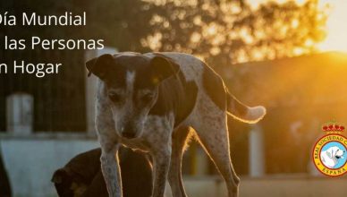 La Real Sociedad Canina de España pide que las personas sin hogar puedan acceder con sus perros a los albergues municipales.