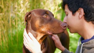 4 beneficios de crecer con una mascota y promover su cuidado responsable.