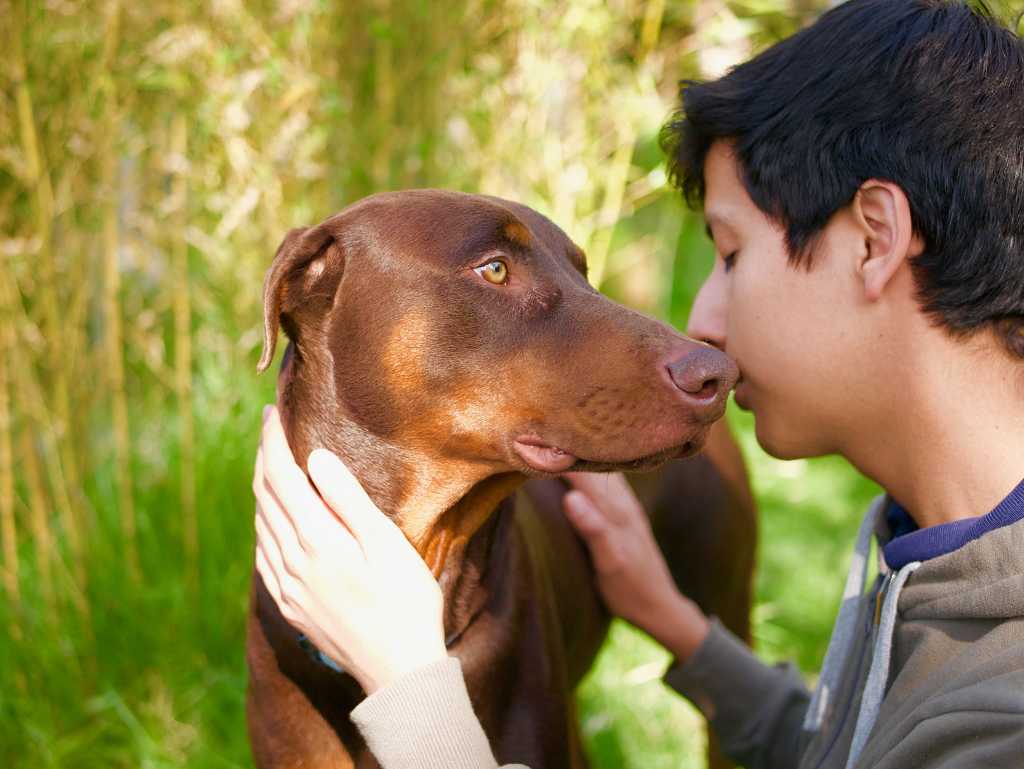 4 beneficios de crecer con una mascota y promover su cuidado responsable.