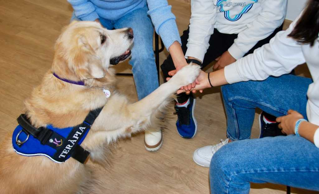 Beneficios de la terapia asistida con perros para adolescentes con trastornos mentales.