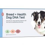 Nuevo test genético para perros, más de 280 marcadores.