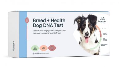 Nuevo test genético para perros, más de 280 marcadores.