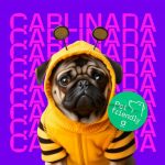 Arenas de Barcelona acogerá el encuentro de perros “Carlinos” con temática Carnaval.
