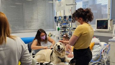 Un estudio confirma que las intervenciones con perros reducen el dolor y la ansiedad en niños ingresados en Cuidados Intensivos del Hospital 12 de Octubre de la Comunidad de Madrid.