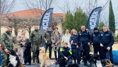 Exhibición con perros policía y de intervención militar en Fundación Jardines de España.