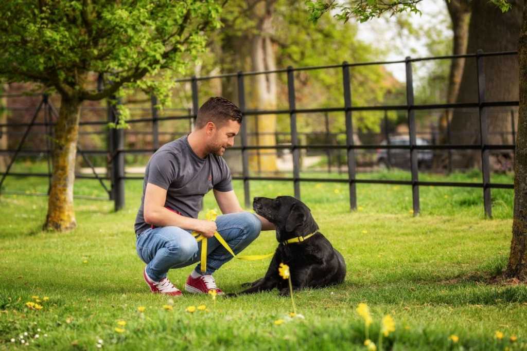 Perros sénior, consejos para hacerles la vida más sencilla.