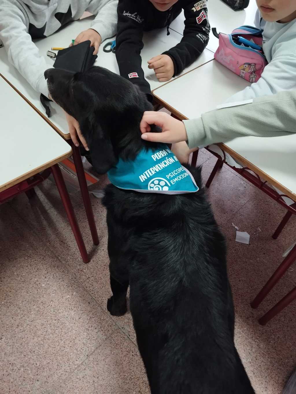 “Emociones con patas”, programa para trabajar la empatía a través de los animales.