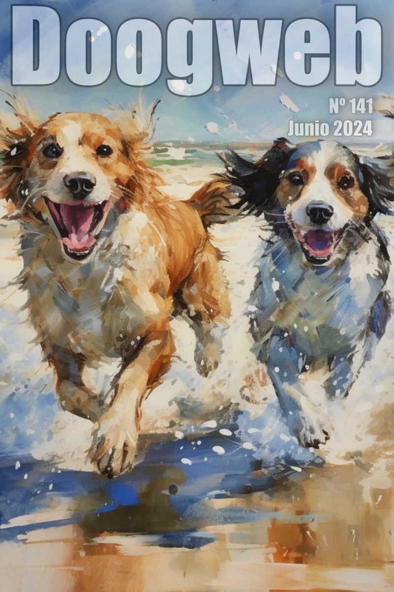 Los mejores artículos de doogweb en junio 2024.