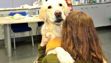Intervenciones Asistidas con Animales en pacientes adultos con trastorno de la conducta alimentaria (TCA).