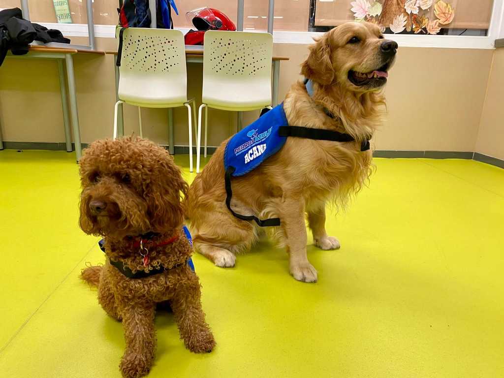 El Hospital Gregorio Marañón seguirá contando con los Perros Azules.