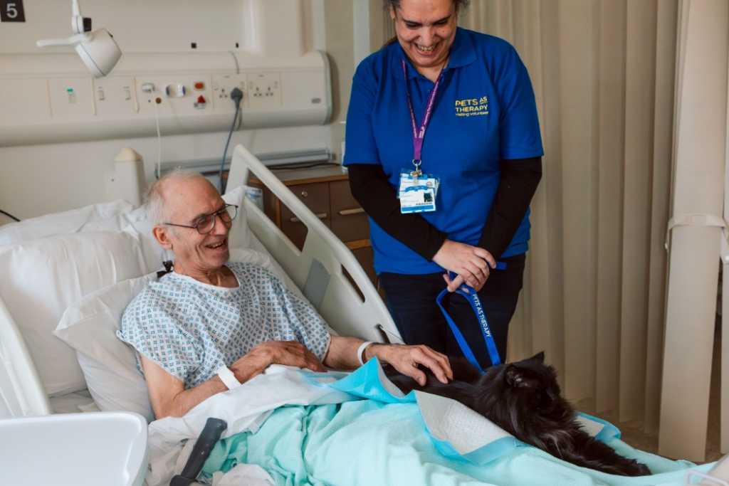 Purina lanza la cuarta edición del Premio BetterwithPets, destinado a financiar organizaciones que promueven el poder del vínculo entre las mascotas y las personas.