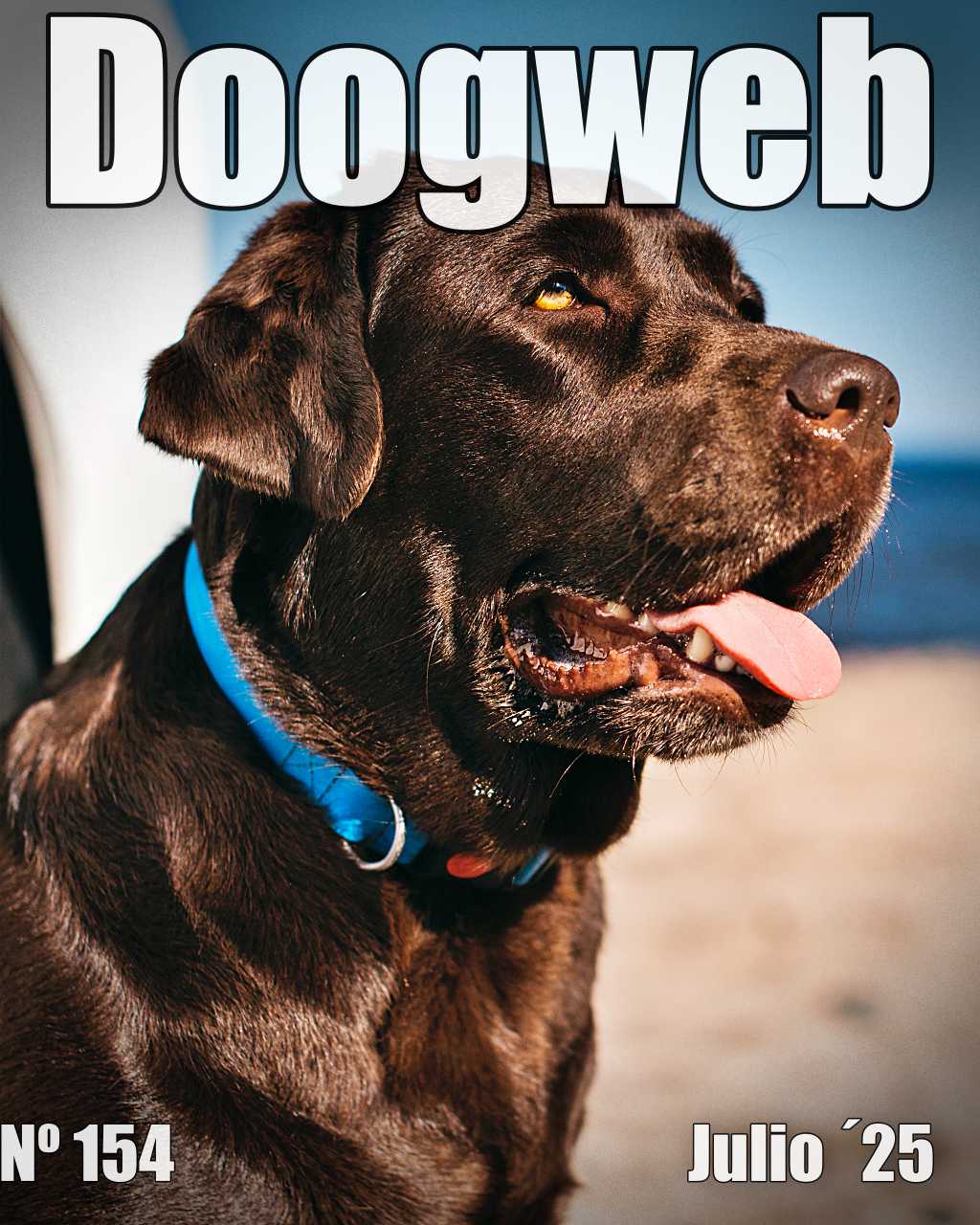 Los mejores artículos de doogweb en julio 2025.