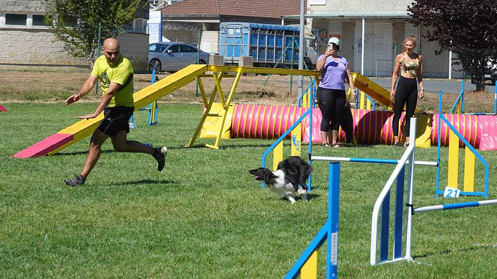 La Galican Agility Cup une ya velocidad, precisión y pasión en una cita de alto nivel en la que compiten 315 perros de 22 países.