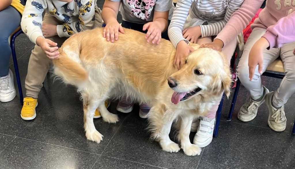 Perros de intervención asistida de Yaracan han acompañado a más de 1.000 niños.