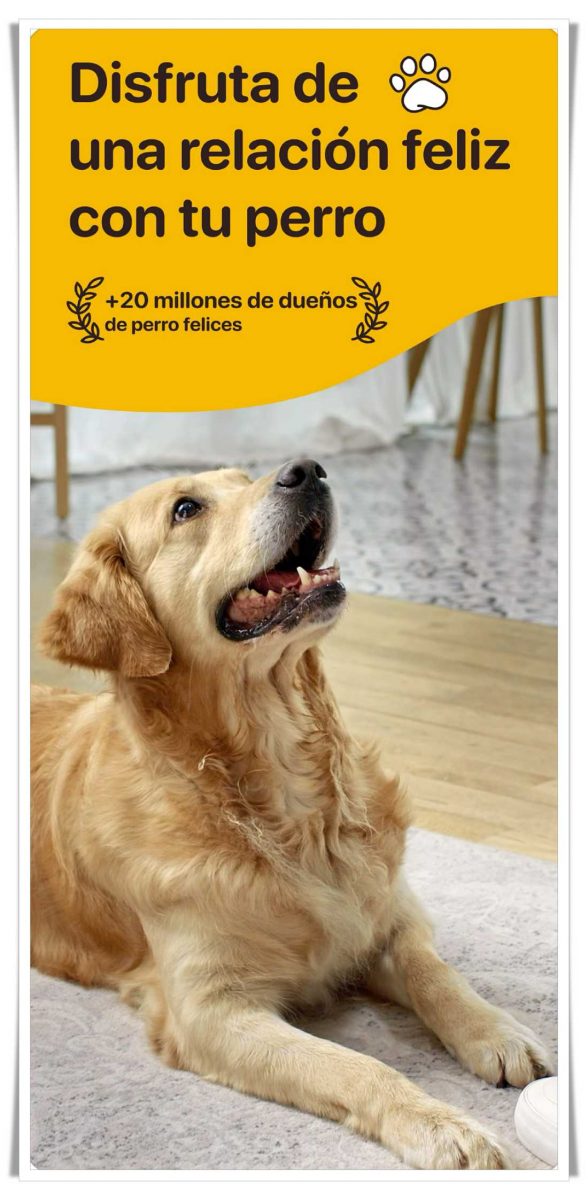 Woofz, la app que mejora la relación con tu perro.