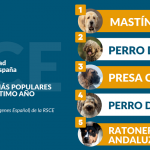Las razas españolas más populares son...