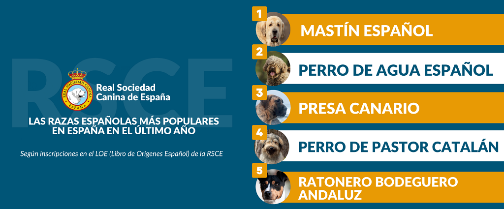 Las razas españolas más populares son...