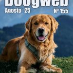 Los mejores artículos de doogweb en agosto 2025.