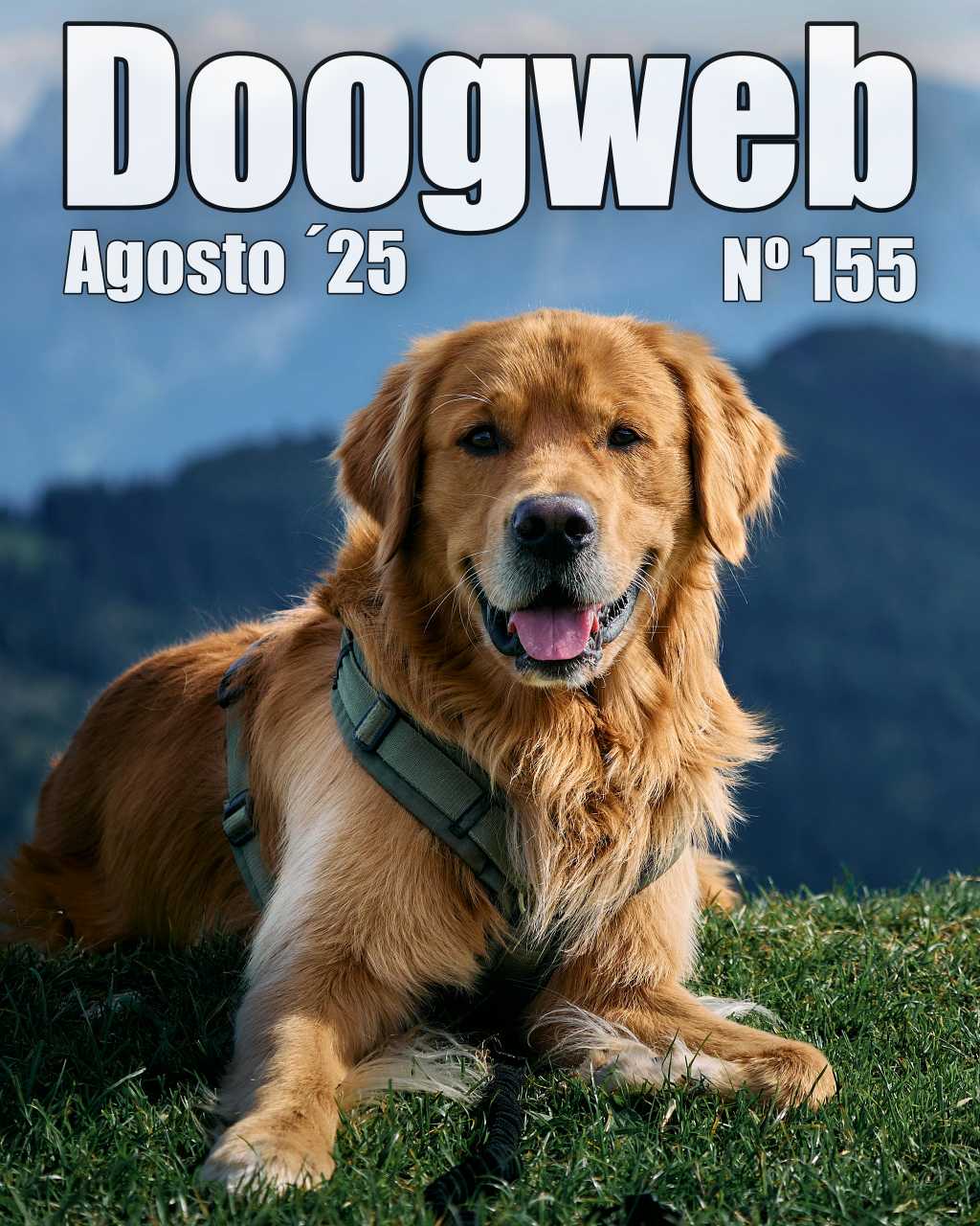 Los mejores artículos de doogweb en agosto 2025.