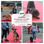 Purina y Tu Trébol organizan emblemático desfile solidario para promover la adopción responsable de mascotas en Tenerife.