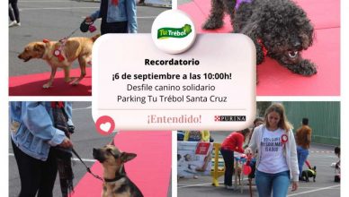 Purina y Tu Trébol organizan emblemático desfile solidario para promover la adopción responsable de mascotas en Tenerife.