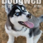 Los mejores artículos de doogweb en octubre 2025.