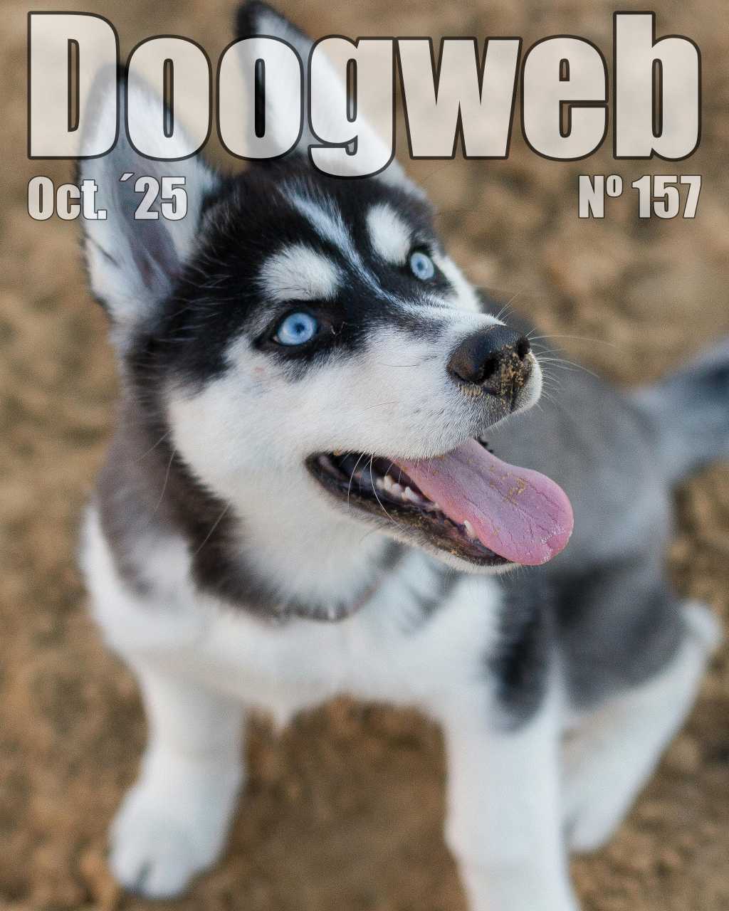 Los mejores artículos de doogweb en octubre 2025.