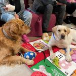 10 de octubre: Día Mundial de la Salud Mental. Así ayudan los perros.