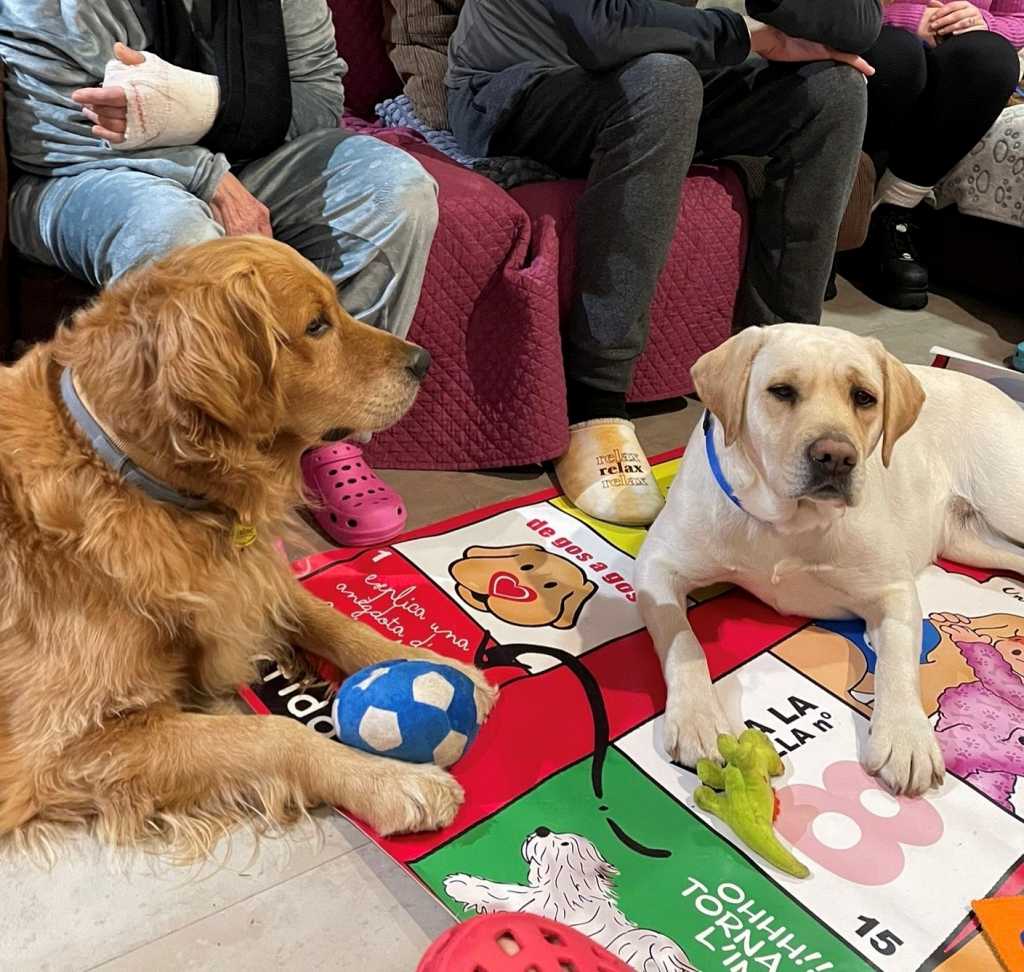 10 de octubre: Día Mundial de la Salud Mental. Así ayudan los perros.