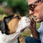 ¿Tienen "poderes especiales" los perros?