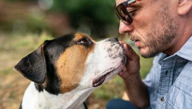 ¿Tienen "poderes especiales" los perros?