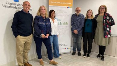 La importancia del papel terapéutico y emocional de los animales.